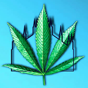 il logo dell'hemp festival di milano