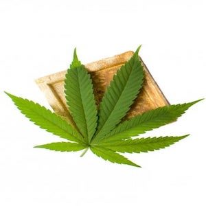 canapa utilizzo in cosmetica