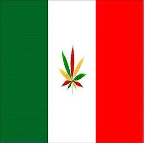 bandiera italiana con foglia di cannabis