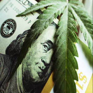 soldi e cannabis
