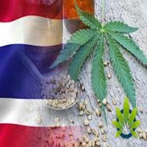 foglia di canapa e bandiera thailandese