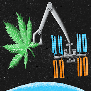 cannabis sulla iss